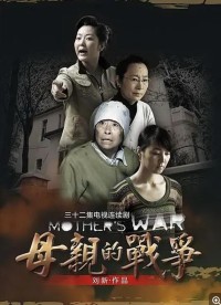 超清1080P《母亲的战争》电视剧 全32集 国语中字网盘下载