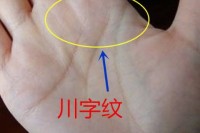 川字纹人的性格特征 具有这种手掌特征