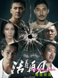 超清1080P《活着再见》电视剧 全12集 国语中字网盘下载