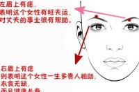 女人左眉有痣 如果一个女人在左眉毛上有痣,它将属于眉毛中隐藏