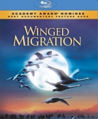 [迁徙的鸟][2001] [英语中字][1080P高清下载]网盘下载